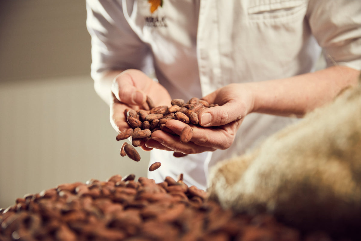 ChocolateView Krak Chocolate